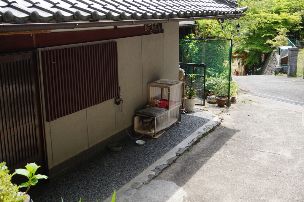 f:id:kunisfa0717:20180514151835j:plain