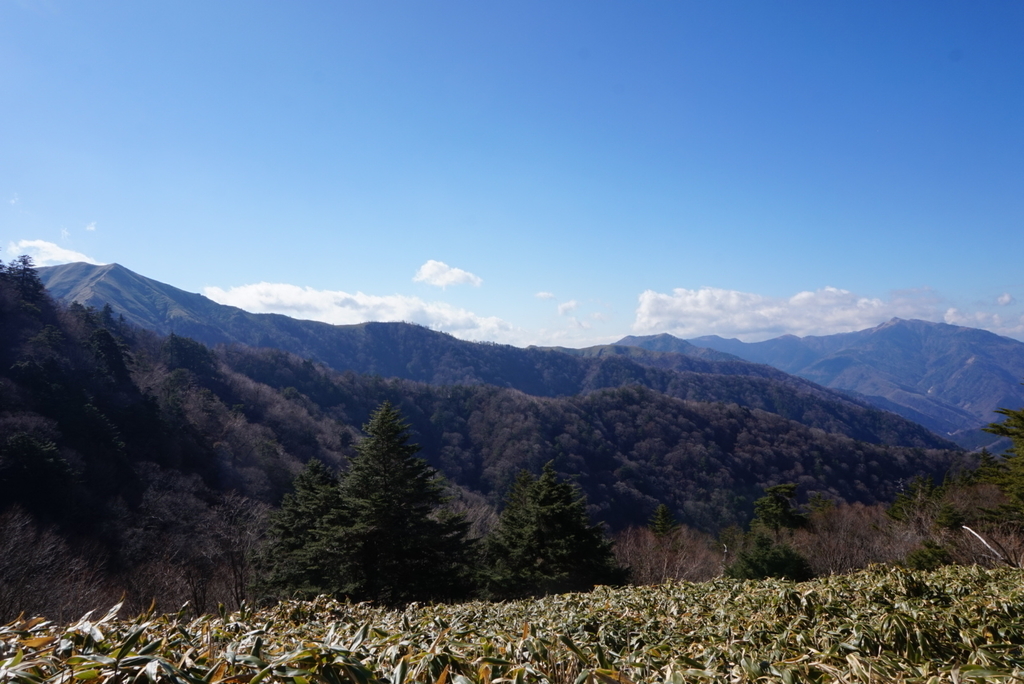 f:id:kunisfa0717:20181120171331j:plain