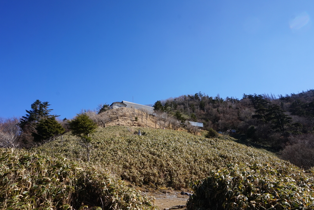 f:id:kunisfa0717:20181120171339j:plain
