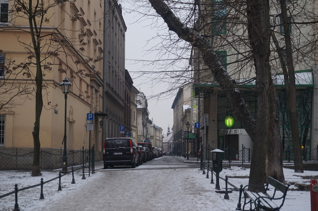 f:id:kunisfa0717:20190119134102j:plain