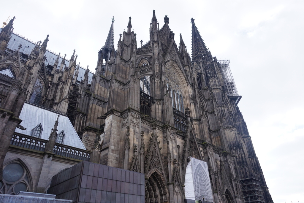 f:id:kunisfa0717:20190124165947j:plain