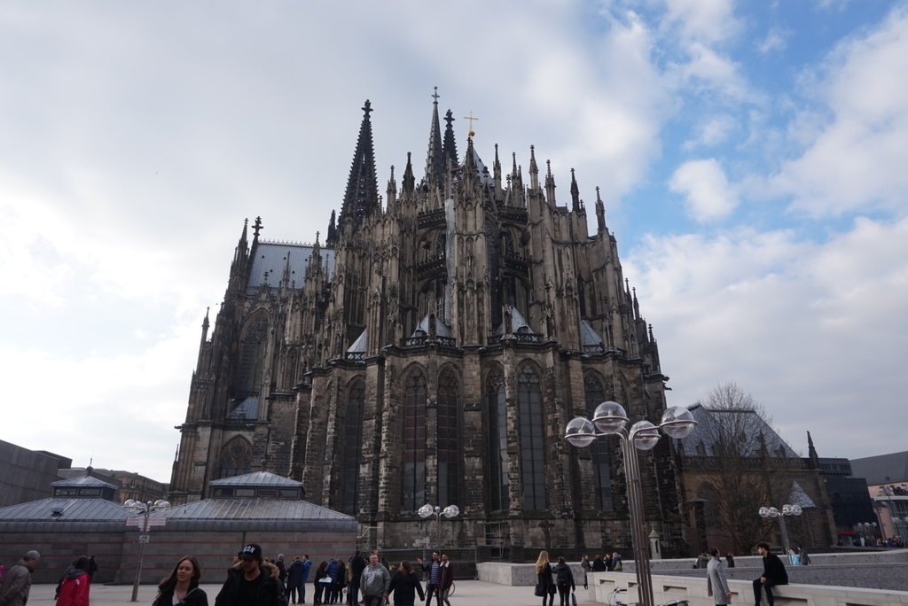 f:id:kunisfa0717:20190124170015j:plain