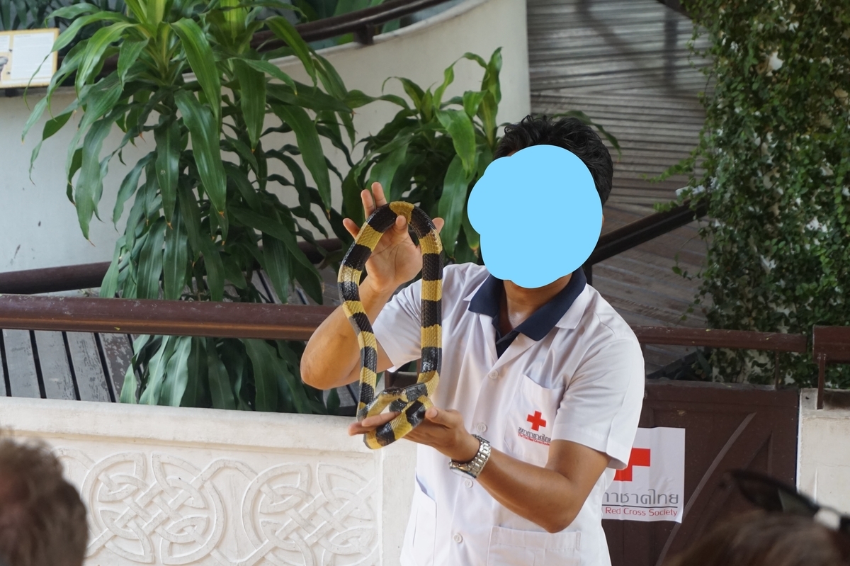 f:id:kunisfa0717:20190314103555j:plain