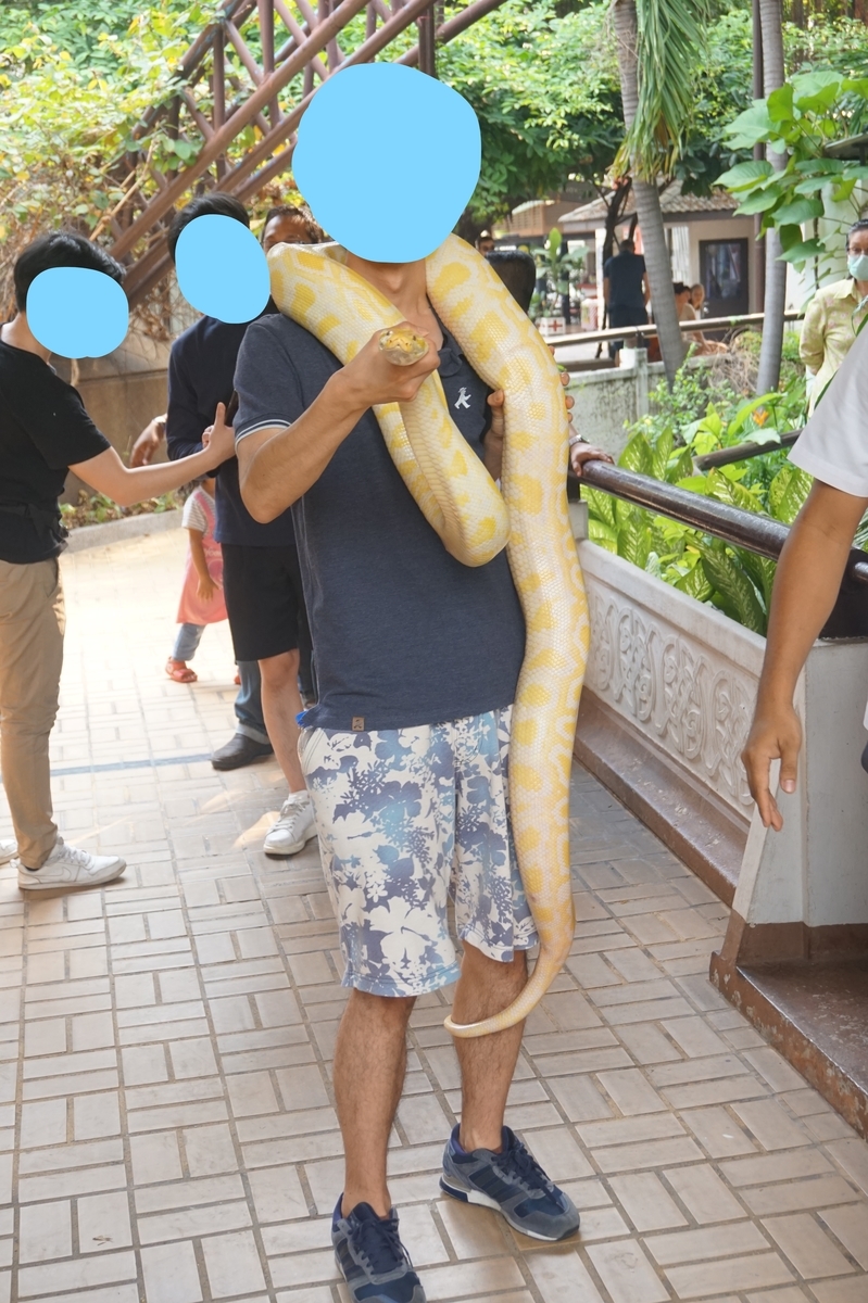 f:id:kunisfa0717:20190314103706j:plain