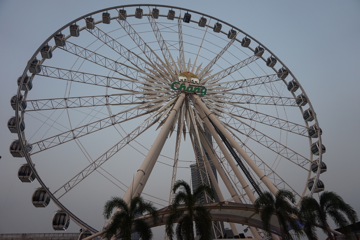 f:id:kunisfa0717:20190314104548j:plain