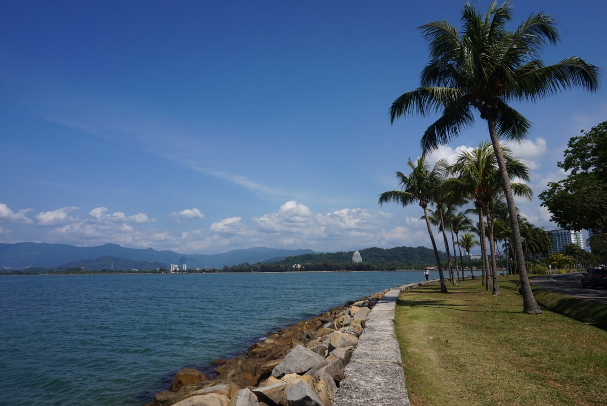 f:id:kunisfa0717:20190502184231j:plain
