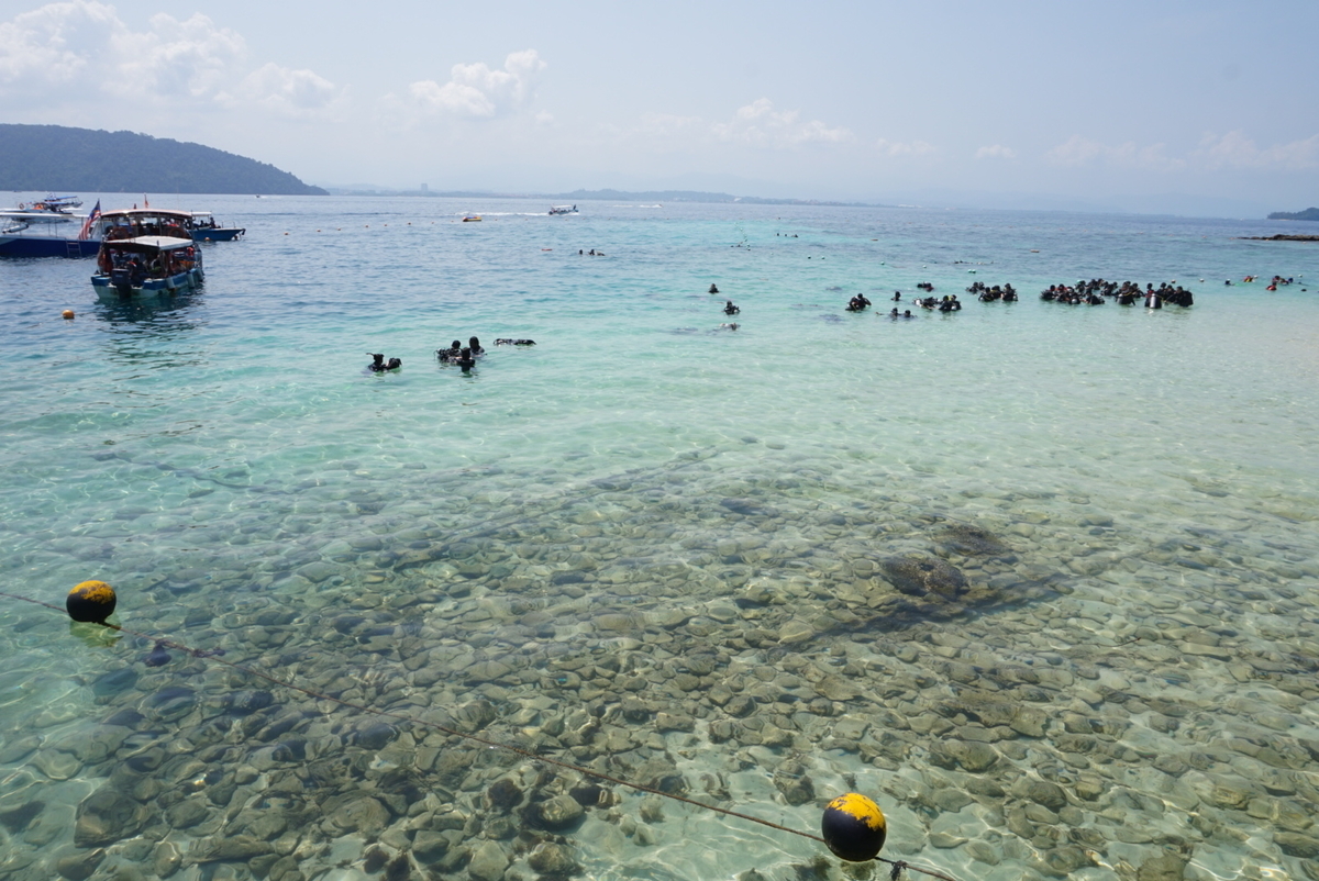 f:id:kunisfa0717:20190502184724j:plain