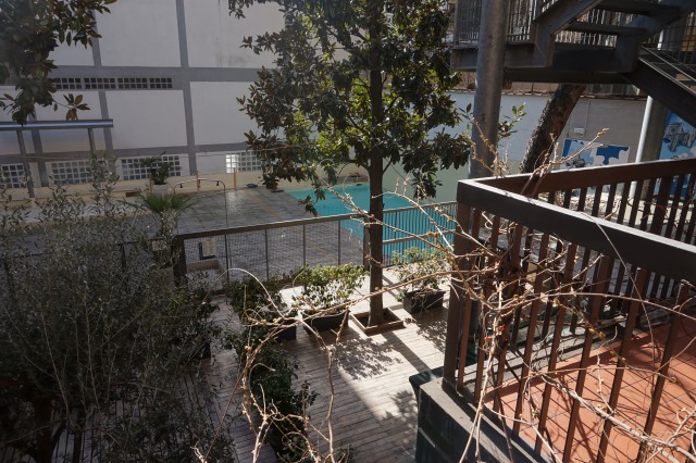 f:id:kunisfa0717:20190723221532j:plain