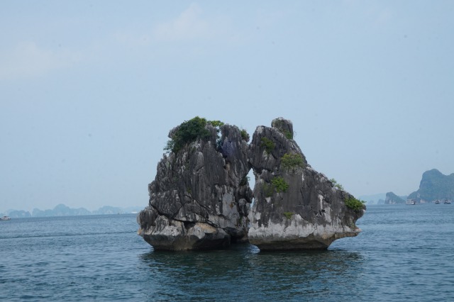 f:id:kunisfa0717:20190901163206j:plain